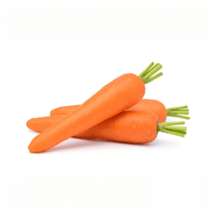 Fresh Carrot - Orange