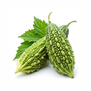 Fresh Bitter Gourd - Forest