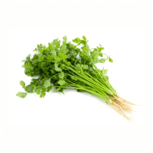 Fresh Coriander Leaves - Kottambari 1Pc