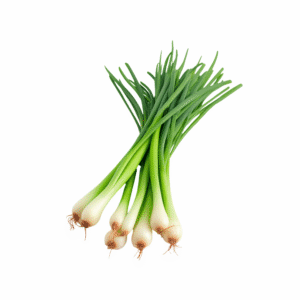 Fresh Spring Onion - With Roots (Bundle) 1Pc