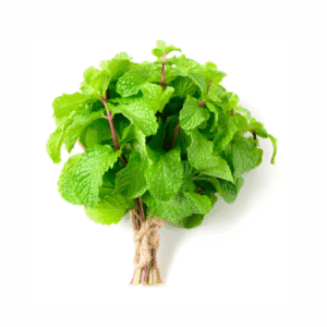 Fresh Mint - Pudina 1Pc (Approx. 80-100g)