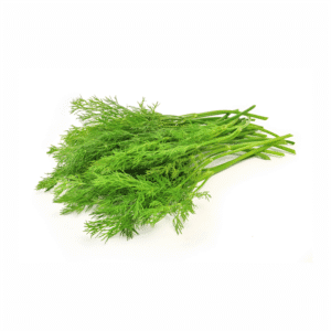 Fresh Dill Leaves-Sui Bhaji (Bundle) 1Pc