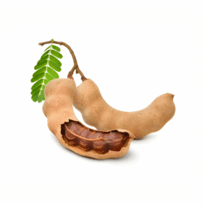 Fresh Sweet Tamarind