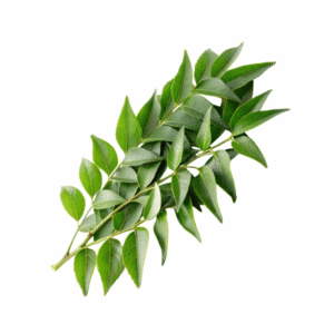 Fresh Curry Leaves, 1Bundle (Aprox 100gm)