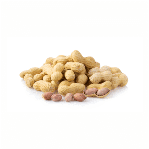Fresh Groundnut