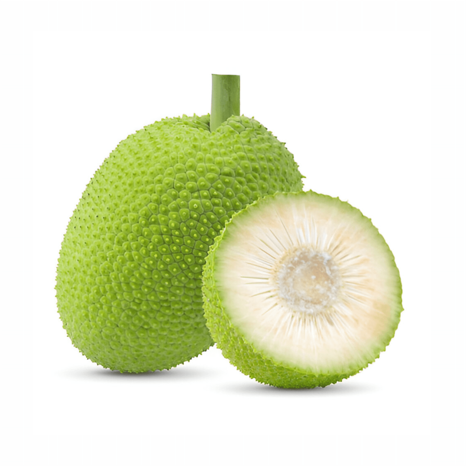 Fresh Tender Jackfruit, 1 pc