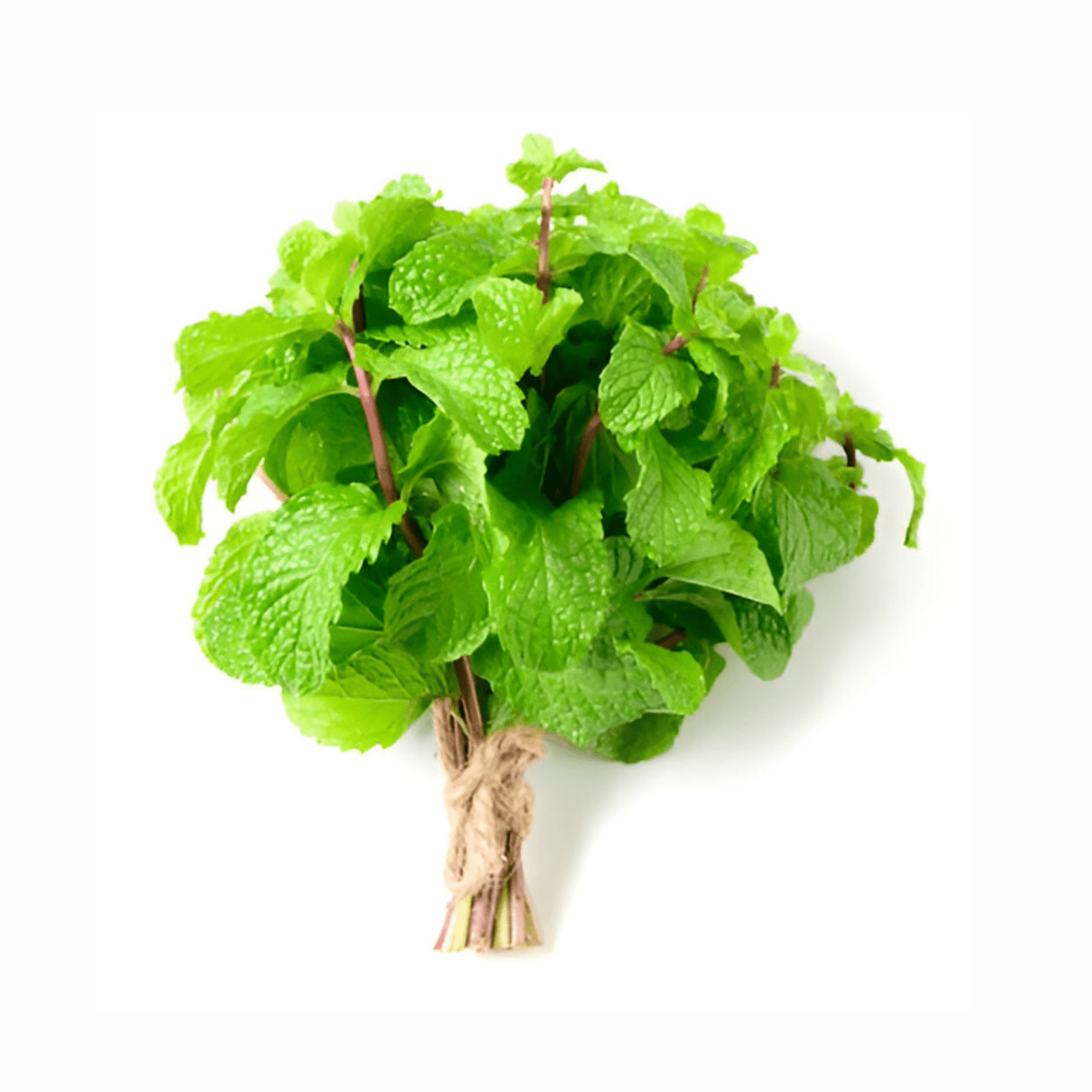 Fresh Mint - Pudina 1Pc (Approx. 80-100g)