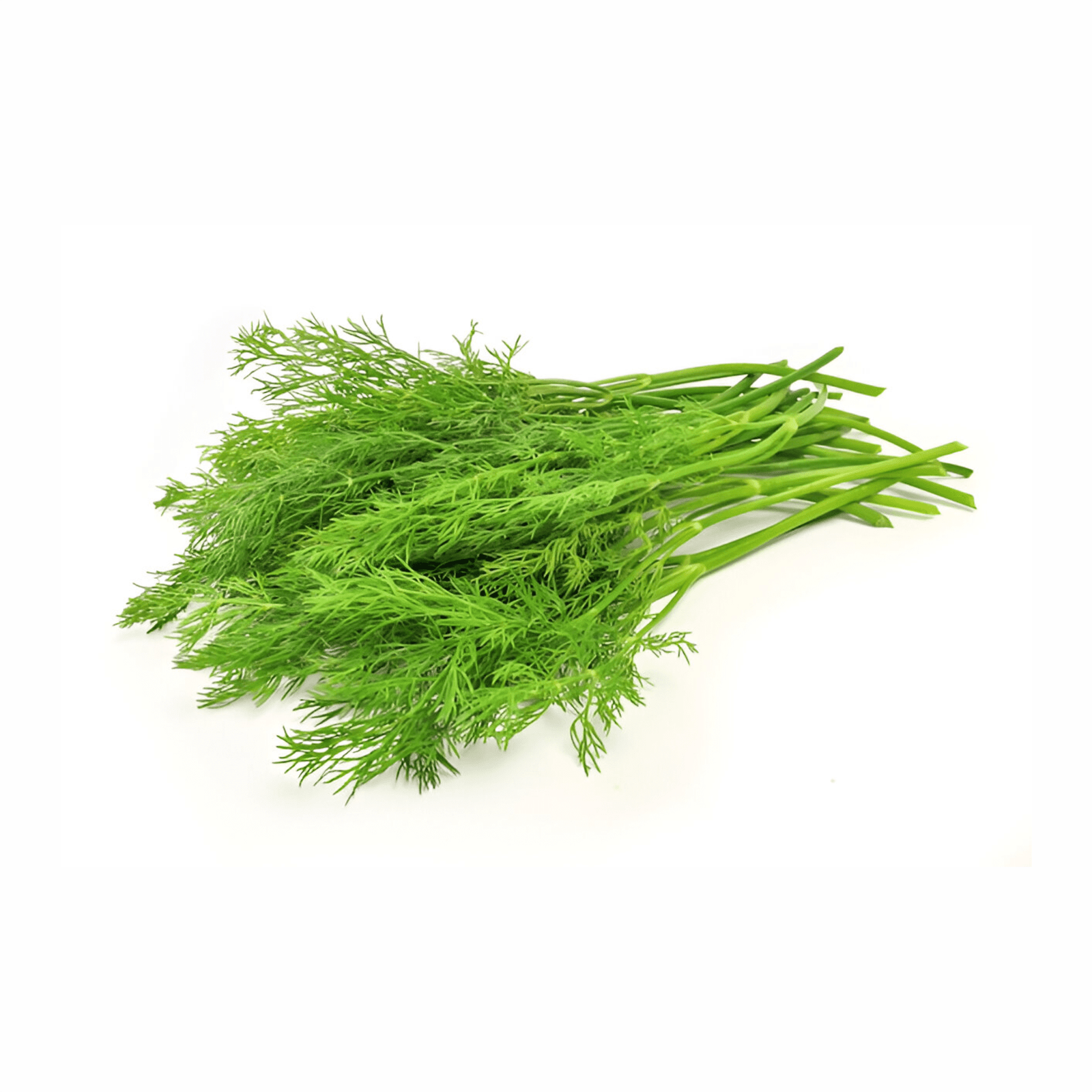 Fresh Dill Leaves-Sui Bhaji (Bundle) 1Pc