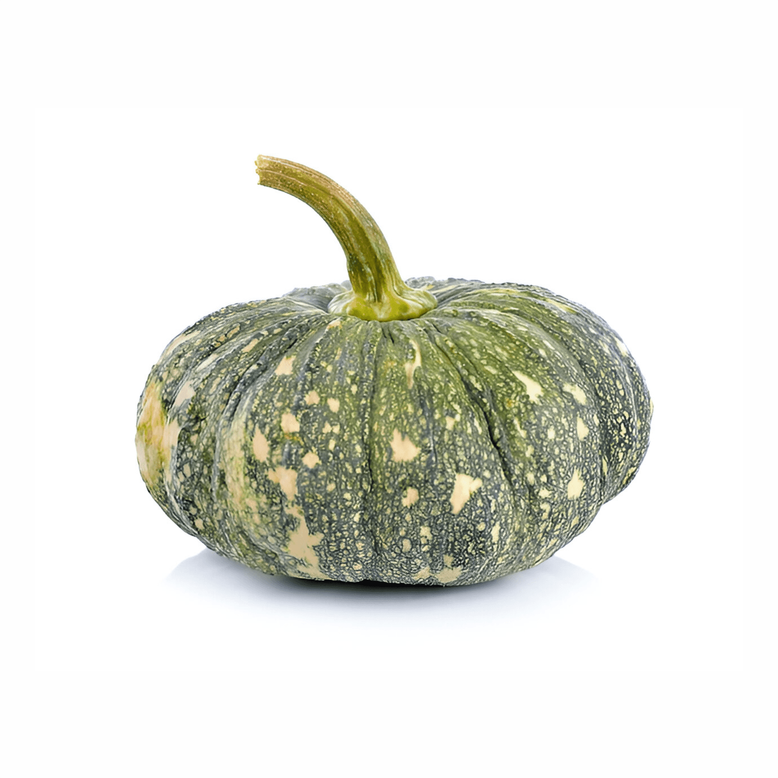 Fresh Pumpkin 1Pc